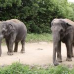 エコキュート設置で困ったら…横浜市旭区でお勧めの業者を3社ご紹介